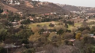 My backyard