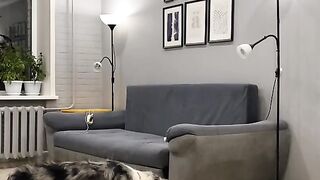 Сердечный приступ