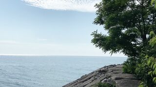 Beautiful view of ocean,trees and sky