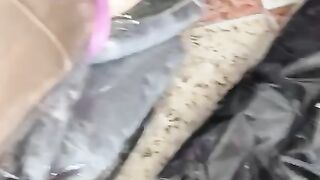 New videos 2