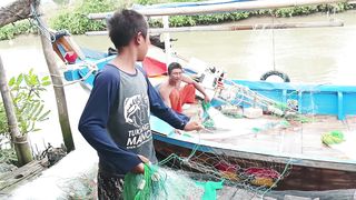 Ngetap jaring