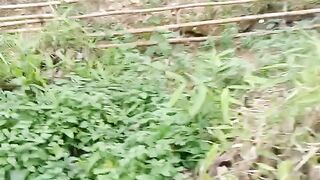 Kejadian yang tidak di duga