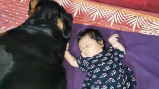 Jerry and Aru are made for each other |  Dog protecting a child.  Video 2023