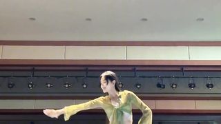 Chinese Reels Video Short 105