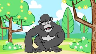 funny video