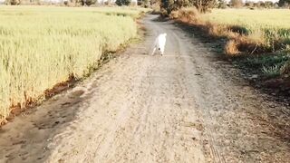 Gaon mein sobah ka waqt.wiht dogi.like plz