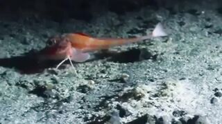 Awesome video ????