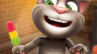 funny cat very funny video