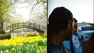 Funny video