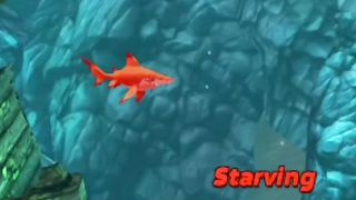 Hungry Shark