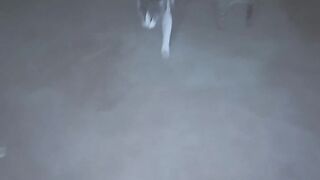 Shorts video