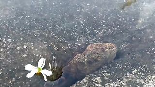 Beautiful Water Hole