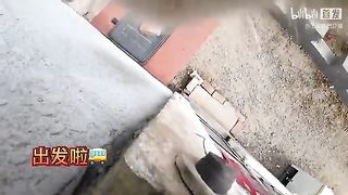 Strapped a camera onto a stray cat, to spy on his friends