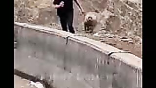 Funny animals clip