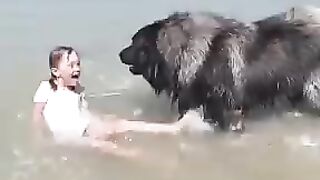 Humanity and animal