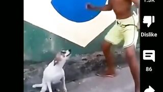 Dog dancing