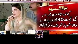 چور چور کی خالا