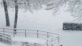 Heavy Snowfall 2023
