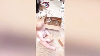 Baby And Cat Fun - Funny Baby Videos