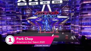 10 FUNNIEST Animal Auditions EVER On Got Talent!