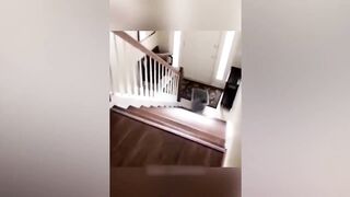 Funniest Pets compilation 2023