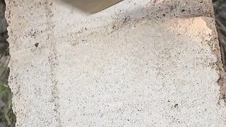 Real video