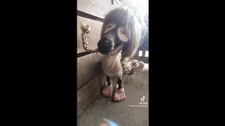 Funny TikToks that are worth to watch .....hahahahhahaha