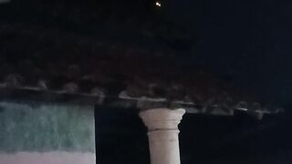 Penampakan Hewan Aneh di tengah malam