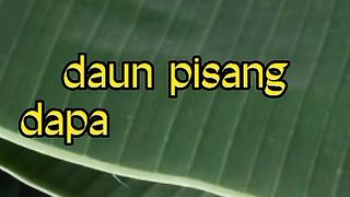 Video lucu