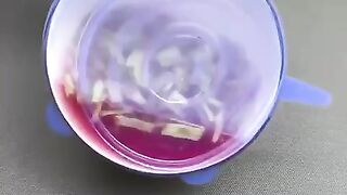silicon dish cover