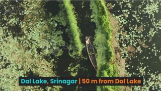 Hotel in Srinagar Under 1000 | Hotel New Green View-I Srinagar Kashmir