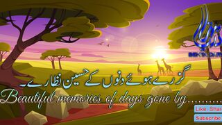 Beautiful memories of days gone by/Guzre dino ki hassen yadien.....