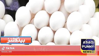 Funny video entertainment News