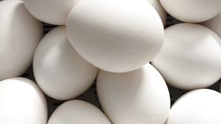 Fresh Eggs