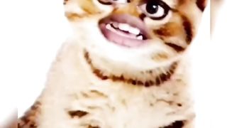 TikTok video