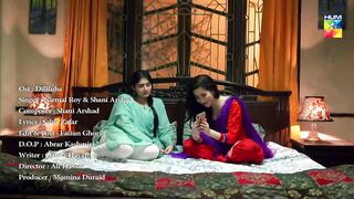 Dil Ruba - Full OST - HUM TV - Drama.