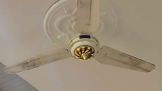 Fan ready