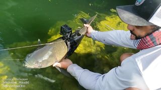 Hahahah ???? Monster Mike GoPro on fish ????