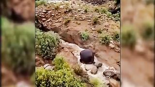 Beautiful_Fazala_❤????????????☘????❤(360p).