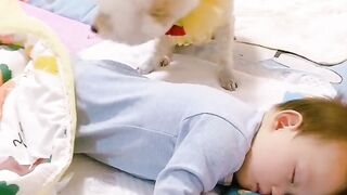 Love Animals They Return With Care