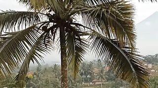 Pemandangan alam