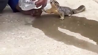 Humanity Makes You Human