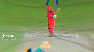 Cricket lover