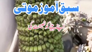 سبق آموز موتی