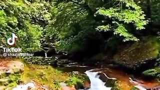 Recitation Please must watch  on this video