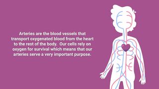 13 foods to strengthen blood flow