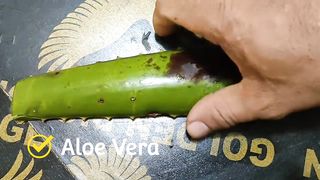 Grow 1.5 inches within 5 days use daily