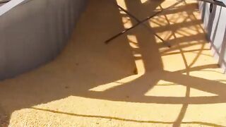 Most Satisfying Machines And Ingenious Tool In World