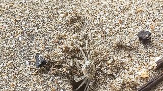 Sand beach,,indonesia