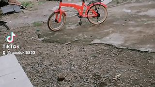 Sepeda lipat paling keren